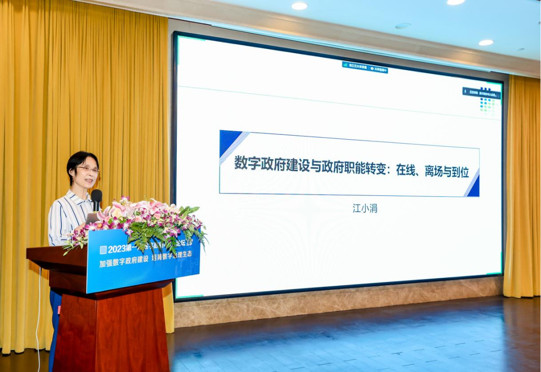 图片10